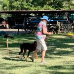 Training owners to train their dogs
