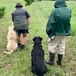 Focused retriever training